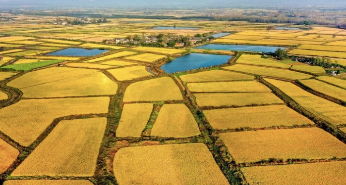 Tới đây, dự kiến sẽ có 2 trường hợp được hoàn tiền sử dụng đất khi chuyển đất nông nghiệp sang đất ở- Ảnh 2. Tới đây, dự kiến sẽ có 2 trường hợp được hoàn tiền sử dụng đất khi chuyển đất nông nghiệp sang đất ở- Ảnh 2.