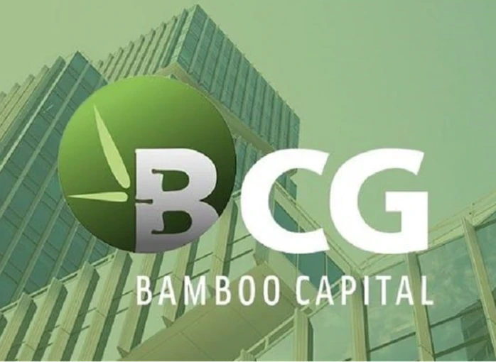 Bamboo Capital (BCG) có Phó Tổng Giám đốc mới ngay trước thềm ĐHCĐ bất thường