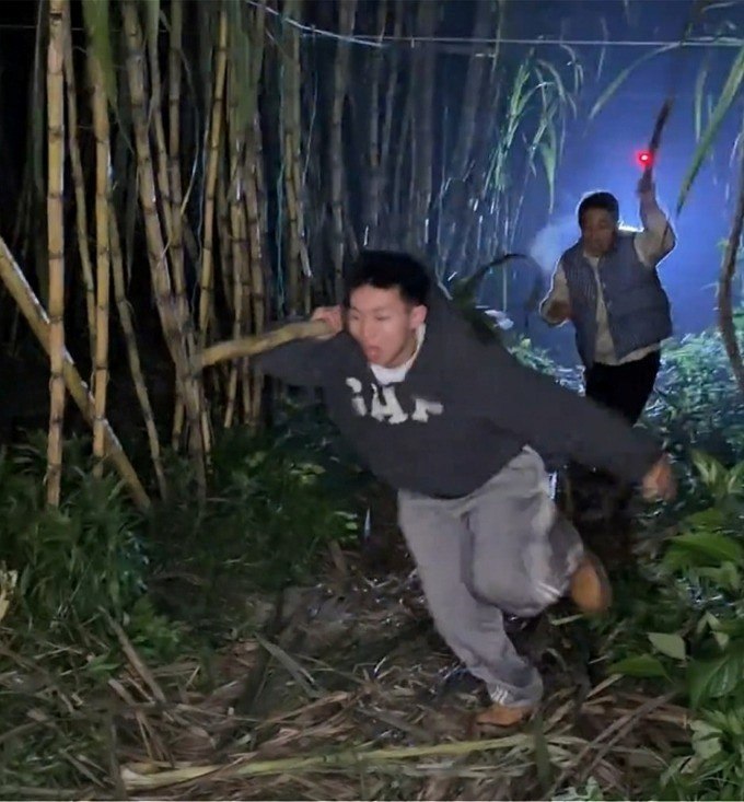 Trả tiền để được... trộm mía, dòng người ùn ùn kéo đến trải nghiệm cảm giác bị rượt đuổi - ảnh 4