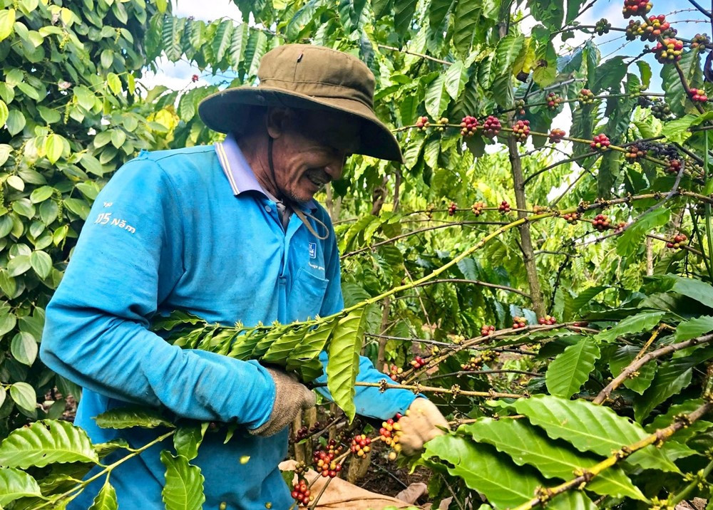 Di sản văn hóa phi vật thể của Việt Nam được đề xuất trình UNESCO ghi danh - ảnh 1