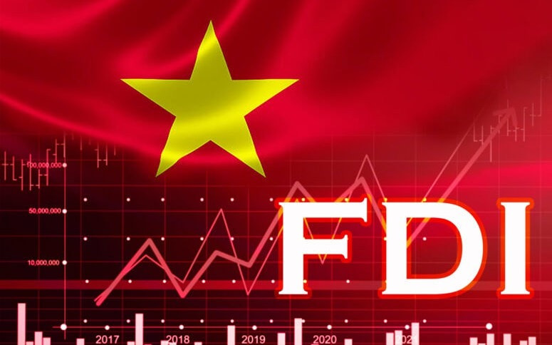 1-fdi-vietnam-17225637531671109561490-33-0-517-775-crop-17225637564102070241073.jpg