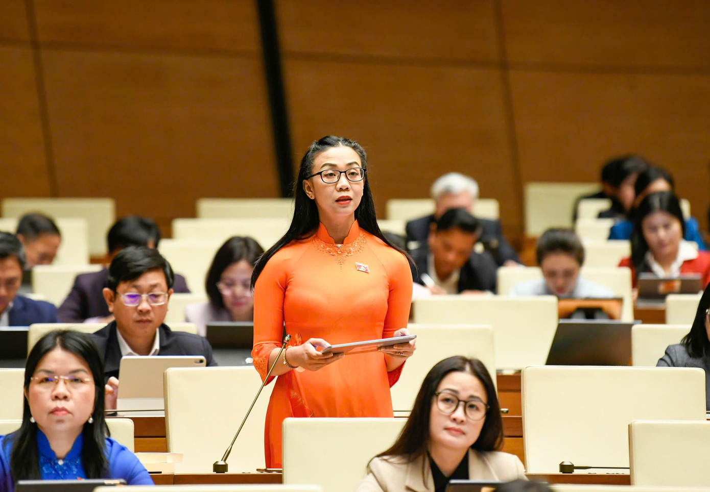 Đại biểu Trịnh Thị Tú Anh. Ảnh: Như Ý 812hcm.jpg