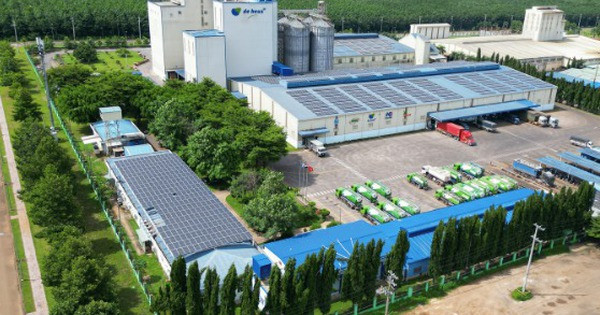 Tây Nguyên sắp có tổ hợp chăn nuôi tiêu chuẩn châu Âu lớn nhất khu vực của 'ông lớn' Hà Lan