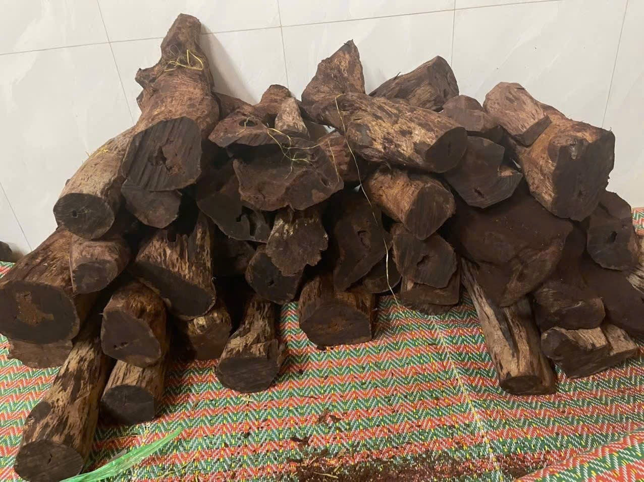 Kho gỗ mán đỉa của một thương lái người địa phương. img-5285.jpg