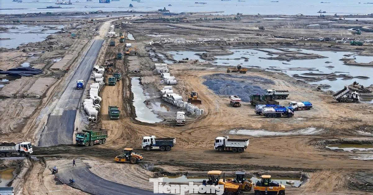 CapitaLand Tower bỏ ra gần 685 triệu USD thâu tóm toàn bộ khu phức hợp số 2, quy mô 154 ha tại dự án Khu đô thị lấn biển Cần Giờ. tp-8.jpg