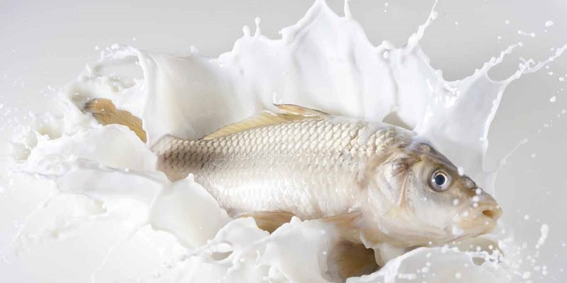 Bí quyết khử tanh cá 'đỉnh' nhất: Không dùng muối, chanh, cá vẫn mềm thơm, ngọt thịt - ảnh 3