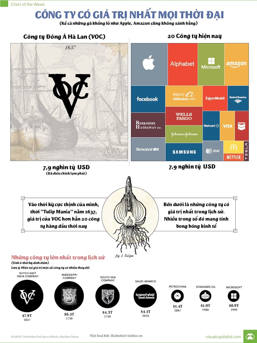 Bí ẩn công ty giá trị nhất mọi thời đại: Mạnh ngang 1 cường quốc, sở hữu 40 tàu chiến, 10.000 binh lính và có cả đồng tiền riêng - ảnh 4