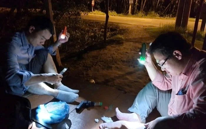 Người bắt muỗi tại thành phố này của Việt Nam sẽ được hỗ trợ 130.000 đồng/đêm - ảnh 2