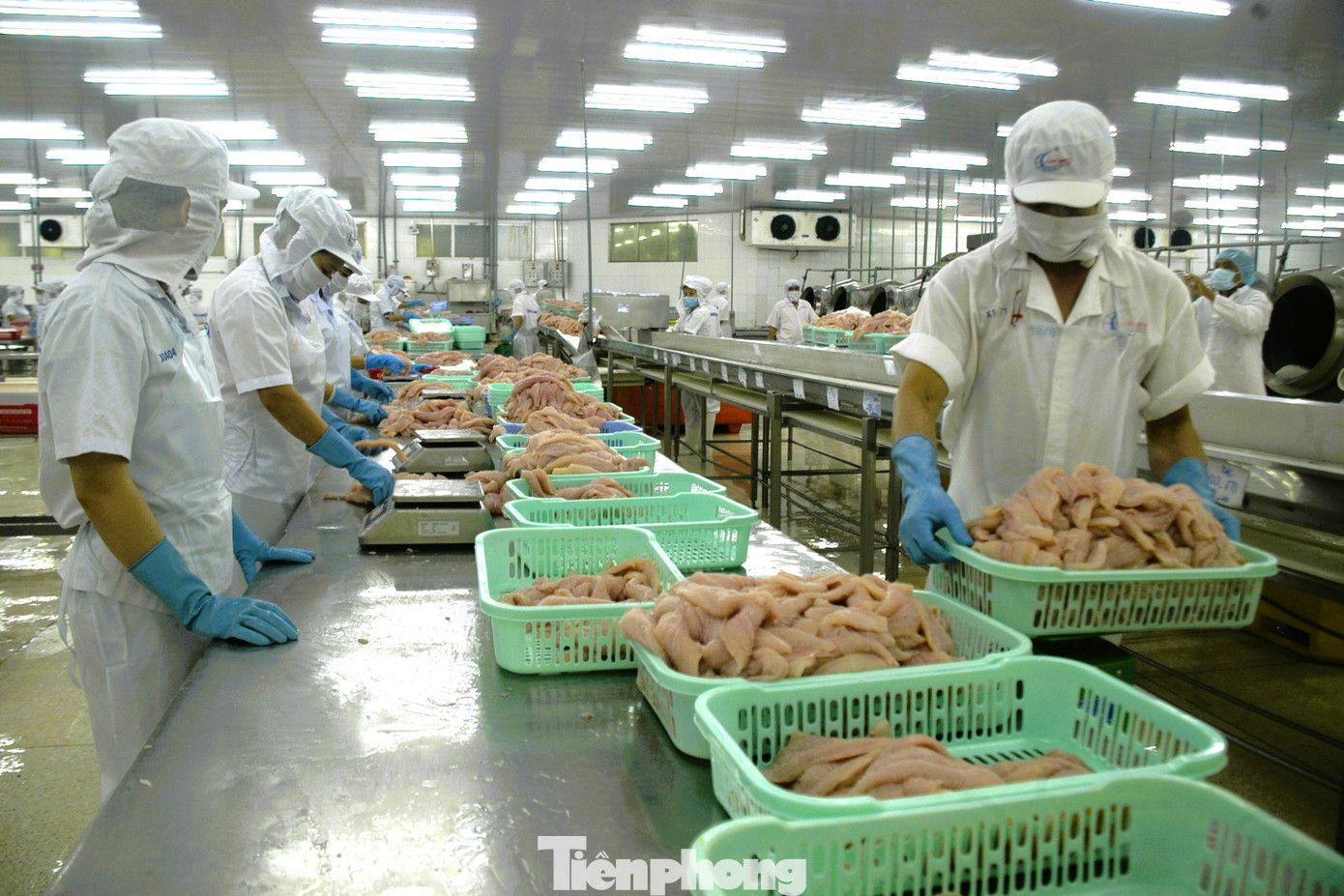 ĐBSCL có nhiều dư địa phát triển DNTN, song cũng có nhiều điểm nghẽn cần tháo gỡ. tp-dn-4795.jpg