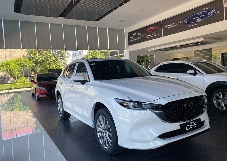 cx-5-6.jpg