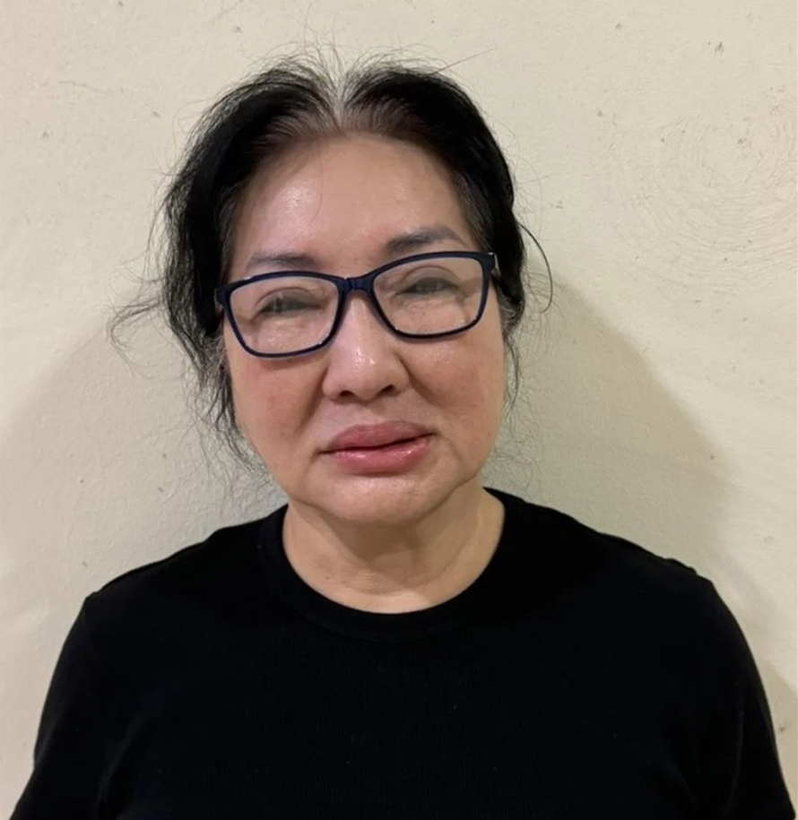 Đề nghị truy tố bà Nguyễn Thị Như Loan, Chủ tịch HĐQT Quốc Cường Gia Lai - ảnh 1