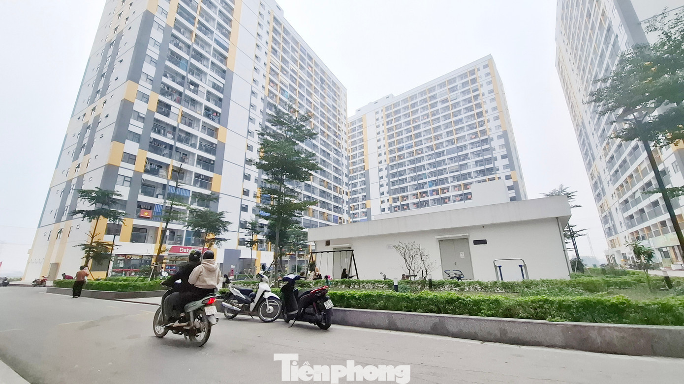 Bắc Ninh phát hiện nhiều trường hợp mua nhà ở xã hội sai đối tượng Ảnh: Nguyễn Thắng tp-anh-1-7.jpg