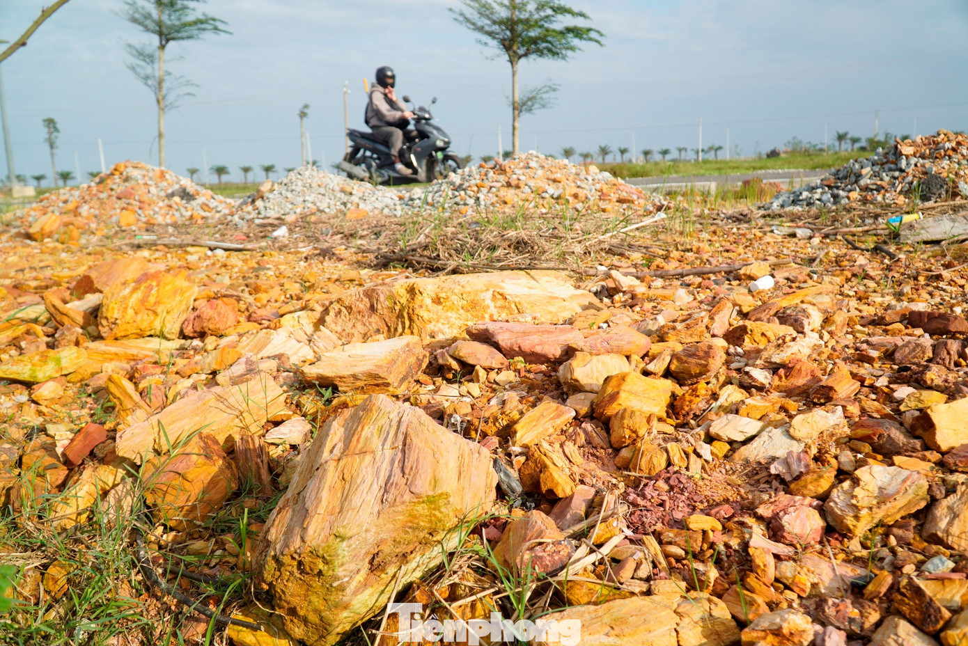 Theo ghi nhận, tại nhiều đoạn lề đường và dải phân cách thi công dang dở trên tuyến đường Chợ Mai - Tân Mỹ nối phường Mỹ Thượng với phường Thuận An, lớp đất mặt bị nước lũ cuốn trôi đã làm lộ ra dày đặc đá phong hóa, trong đó có nhiều tảng đá kích thước lớn. tp-1-da-phong-hoa-duong-cho-mai-tan-my.jpg