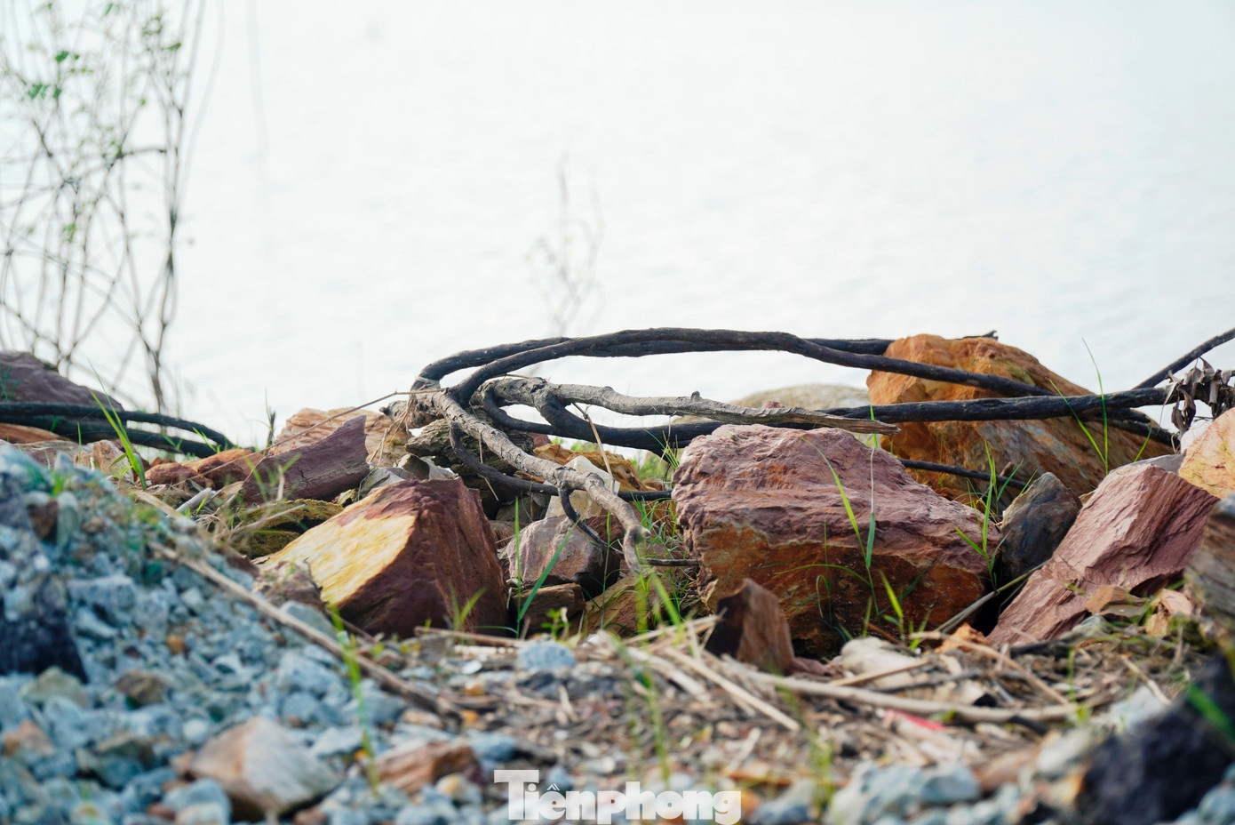 Tuy nhiên, trong quá trình kiểm tra hiện trường, tư vấn giám sát dự án phát hiện đất vận chuyển vào công trường lẫn nhiều đá phong hóa , không đảm bảo chất lượng. Chủ đầu tư từng lập biên bản hiện trường, yêu cầu nhà thầu khắc phục, đồng thời tạm đình chỉ thi công hạng mục đắp đất K95 cho đến khi hoàn thành việc vận chuyển toàn bộ đá phong hóa ra khỏi phạm vi dự án. tp-5-da-phong-hoa-duong-cho-mai-tan-my.jpg