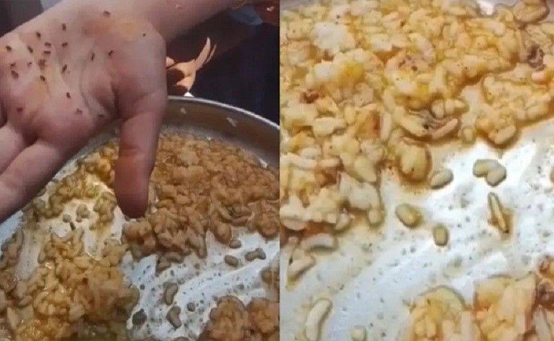 Phát hiện giòi bọ lúc nhúc trong cơm trưa của học sinh tại một trường công lập Ấn Độ - ảnh 1