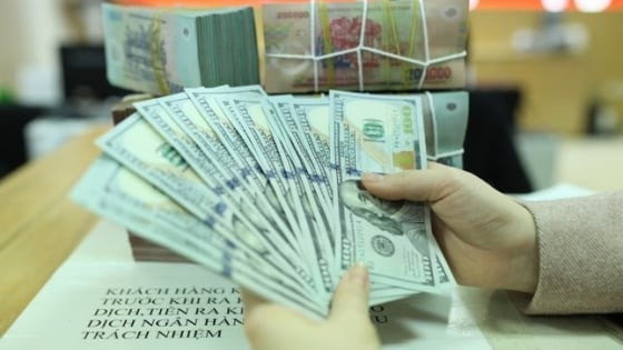 Giá USD hạ nhiệt, thị trường tự do giảm hơn 100 đồng