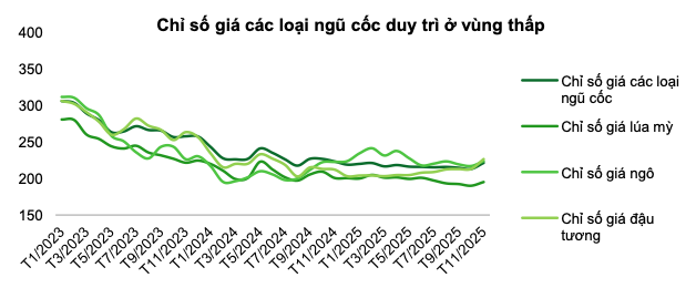 Screenshot 2025-12-20 at 16.43.32