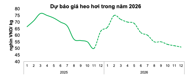 Screenshot 2025-12-20 at 16.47.06