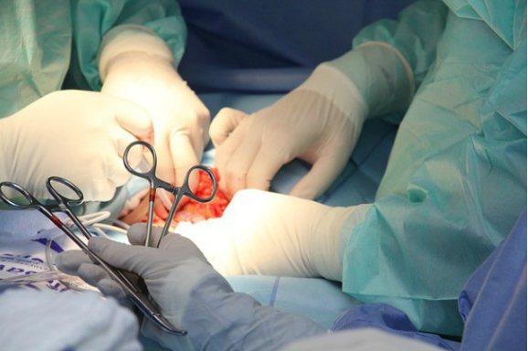 Động vật bị thiến có thể sống lâu hơn tới 20%, điều này với con người liệu có đúng? - ảnh 3