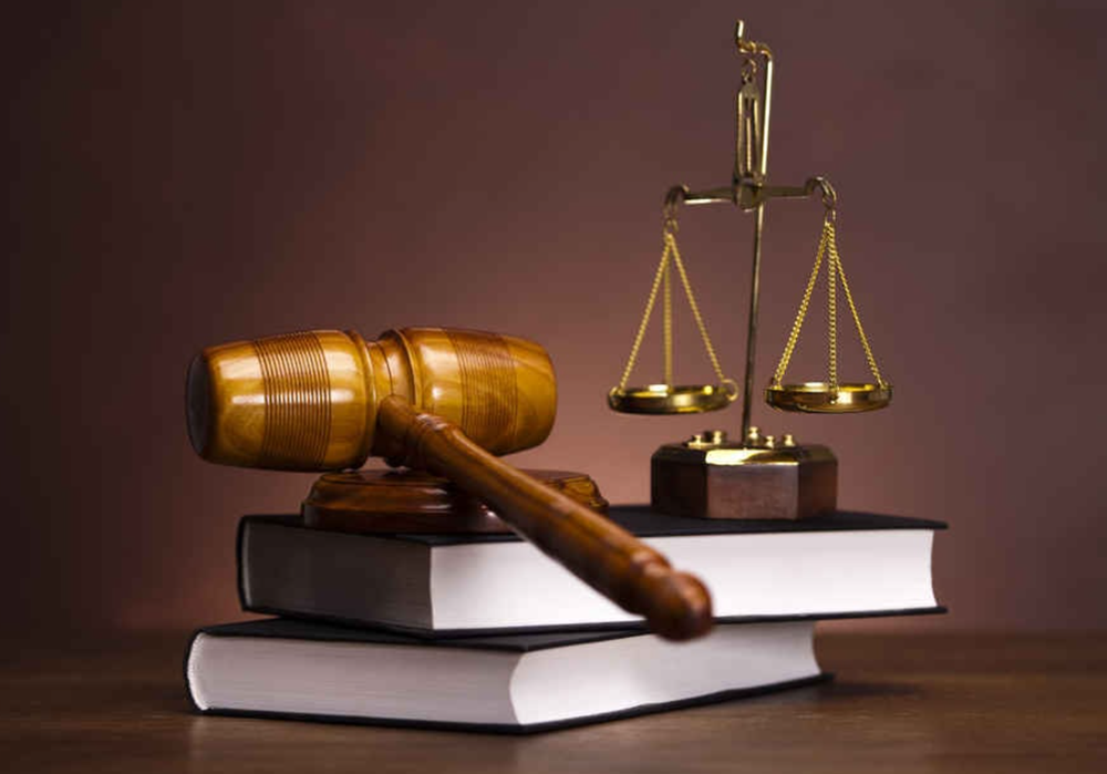 Xét xử phúc thẩm vụ người vay ‘thoát nợ’ ngân hàng 5 tỷ đồng - ảnh 1