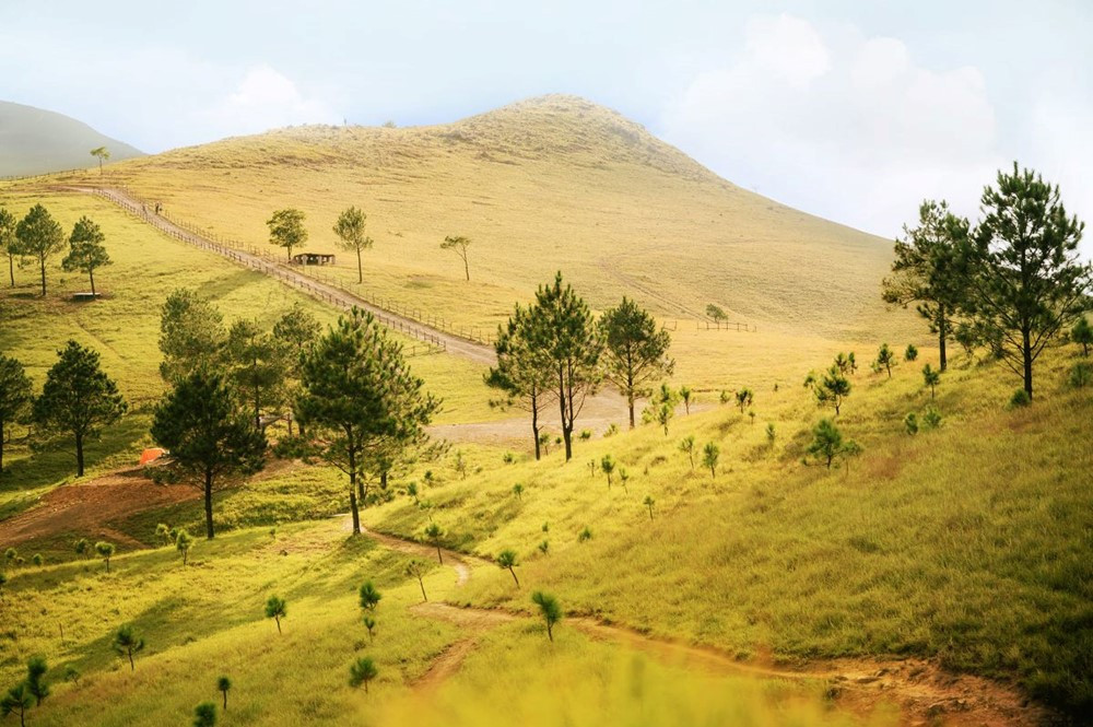 Cách Hà Nội khoảng hơn 200km, có 5 cung đường trekking ‘thách thức’ dân phượt, một nơi được mệnh danh là nóc nhà của Quảng Ninh - ảnh 1