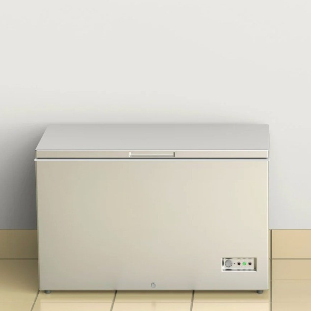 Hé lộ lời khai của người mẹ giấu thi thể con gái trong tủ đông suốt 20 năm