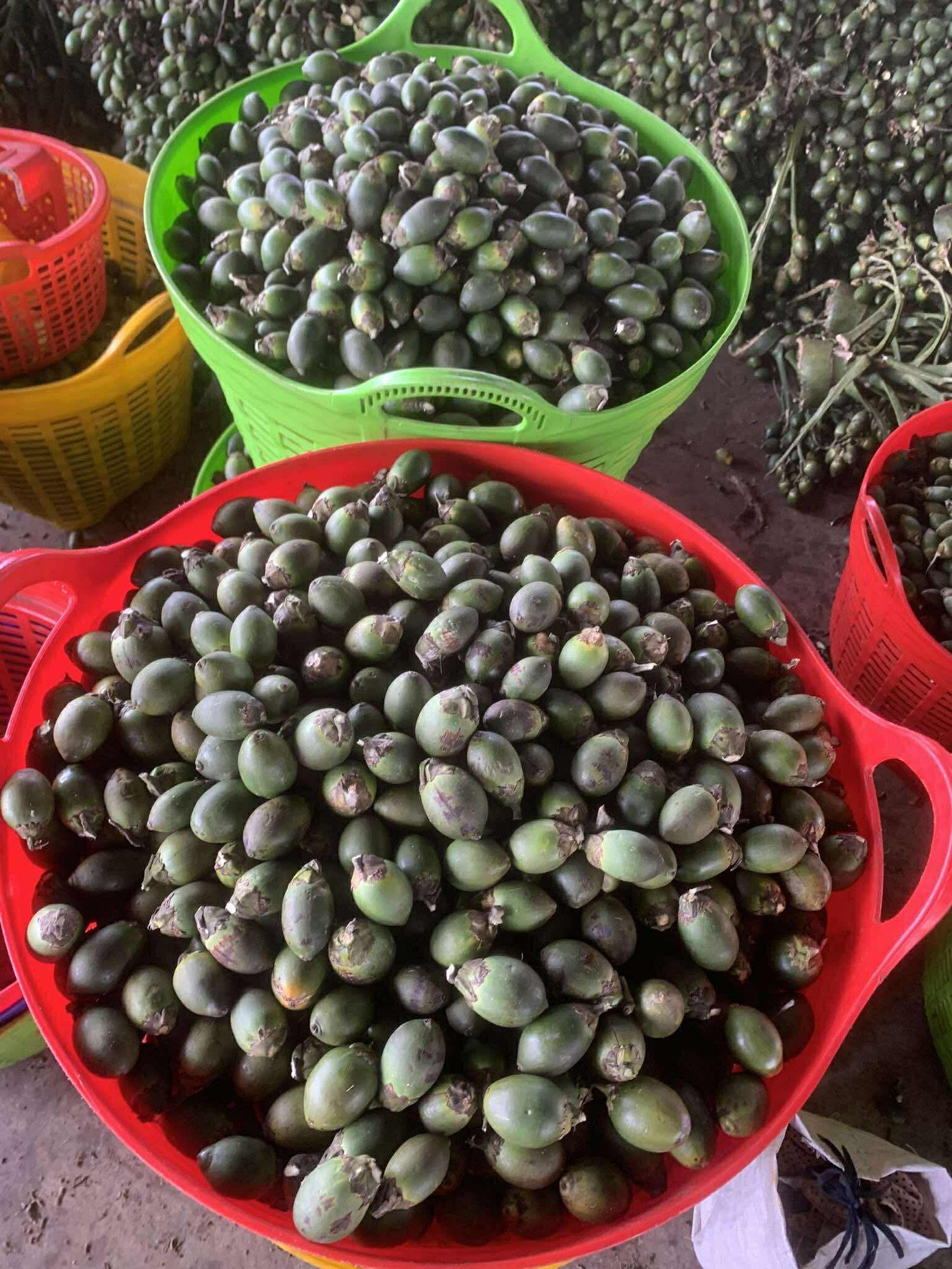 Thương lái chỉ mua cau tròn, loại trái đều và đẹp. 9507827adc1332443c68d62b3098d50c.jpg