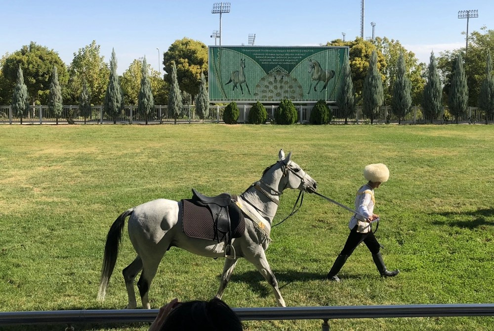 Nơi duy nhất Việt Nam nuôi dưỡng giống ngựa 'đẹp nhất thế giới' có giá triệu đô, cách Hà Nội chỉ hơn 100km - ảnh 5