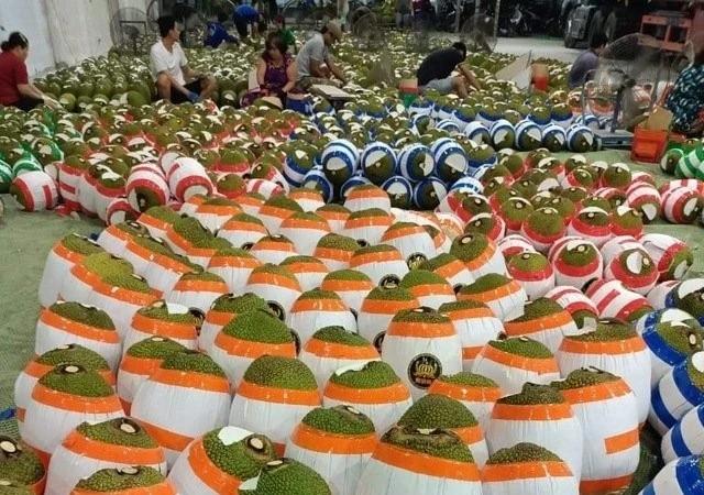 Tin vui đối với nông dân Việt: Thêm một loại quả phổ biến được xuất khẩu chính ngạch sang thị trường đông dân bậc nhất thế giới