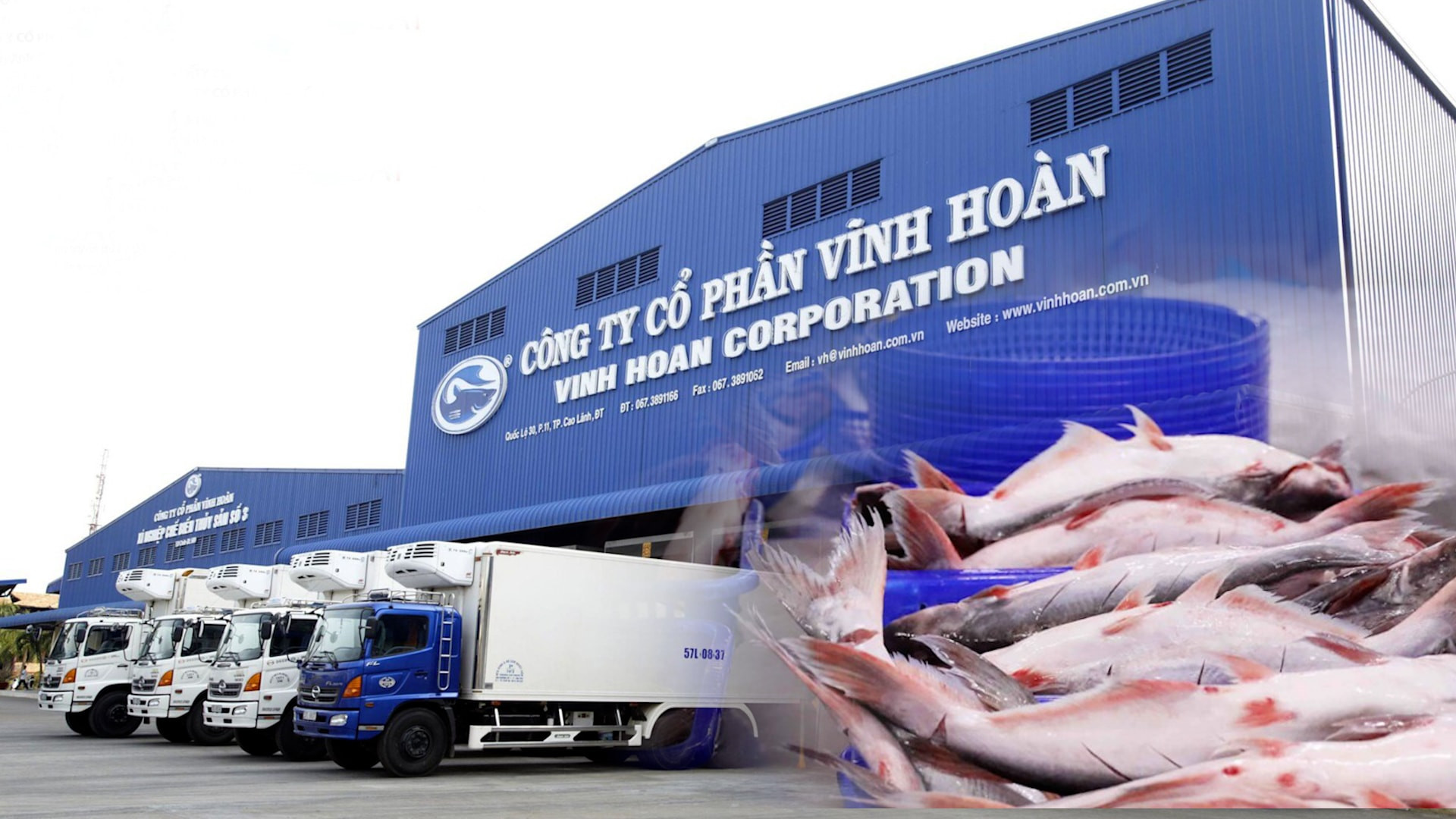 Vĩnh Hoàn (VHC): Áp lực cạnh tranh gia tăng, doanh thu tại Trung Quốc giảm 32%