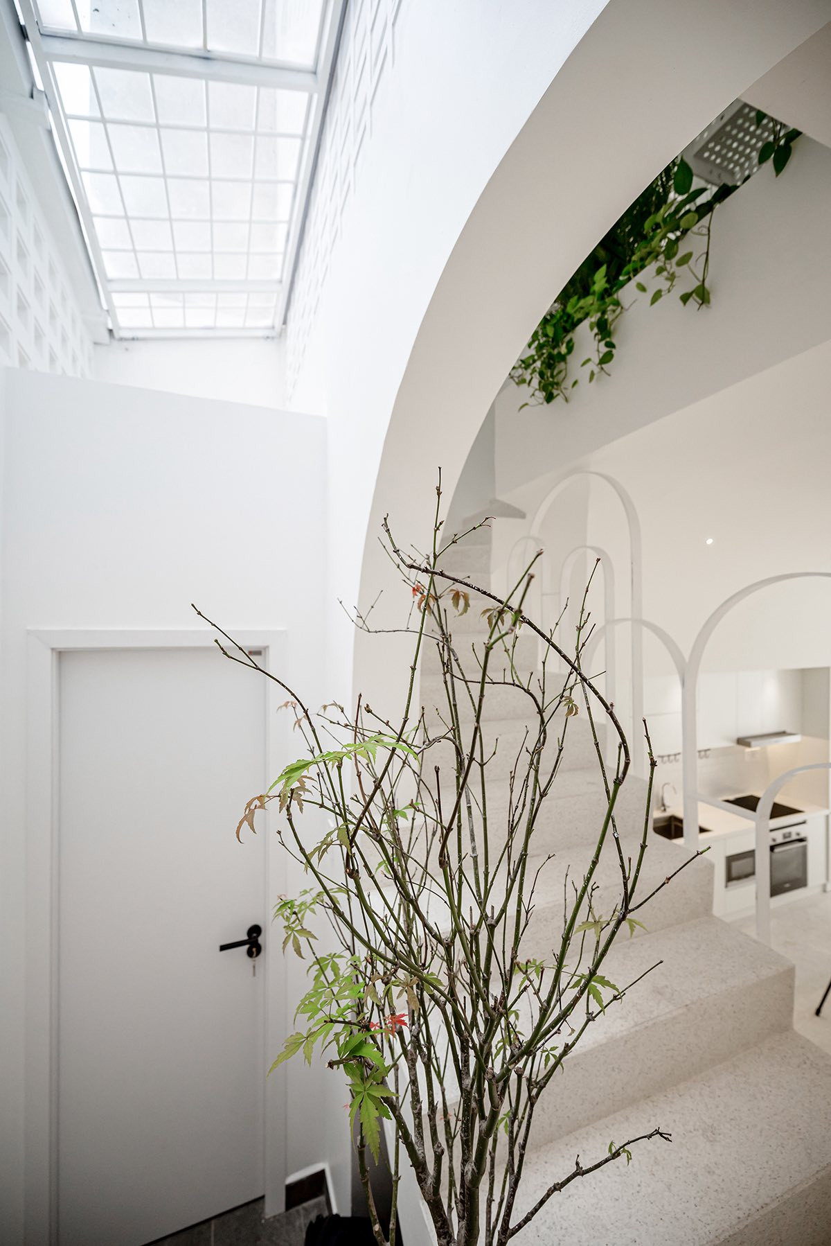 Không gian an trú của 3 anh chị em giữa lòng Sài Gòn: Ẩn mình như ốc đảo thu nhỏ- Ảnh 4.