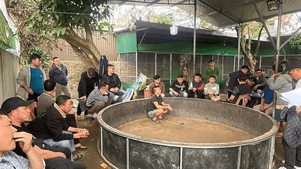 Đột kích một sới gà, bắt nóng 28 người, tịch thu 3 con gà chọi, 2 ô tô và gần 60 triệu đồng tiền mặt - ảnh 1