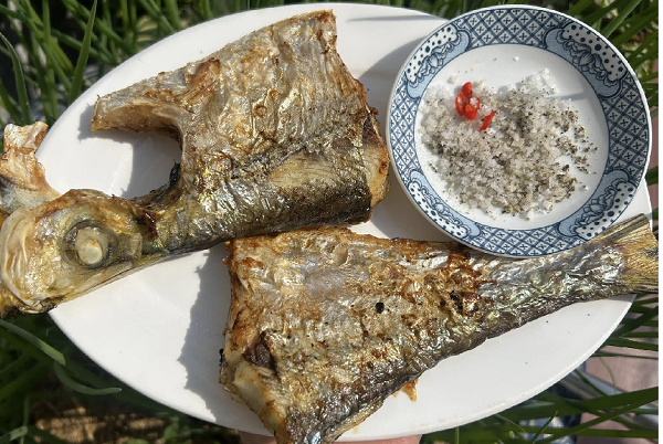 Có tiền chưa chắc mua được: Một trong 'tứ quý ngư' kín tiếng của biển Việt, đắt đỏ nhưng hiếm người được thưởng thức