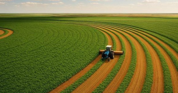 Chỉ 6 ngày nữa, những trường hợp sau sẽ không được bồi thường khi Nhà nước thu hồi đất