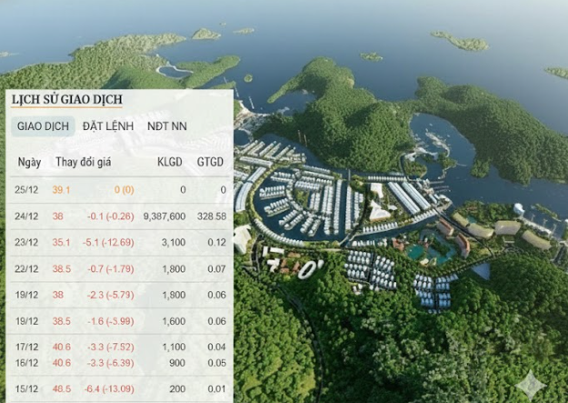 Tự doanh 'đi lệnh' 330 tỷ đồng ở doanh nghiệp thua lỗ triền miên nhưng đang nắm dự án 11.000 tỷ