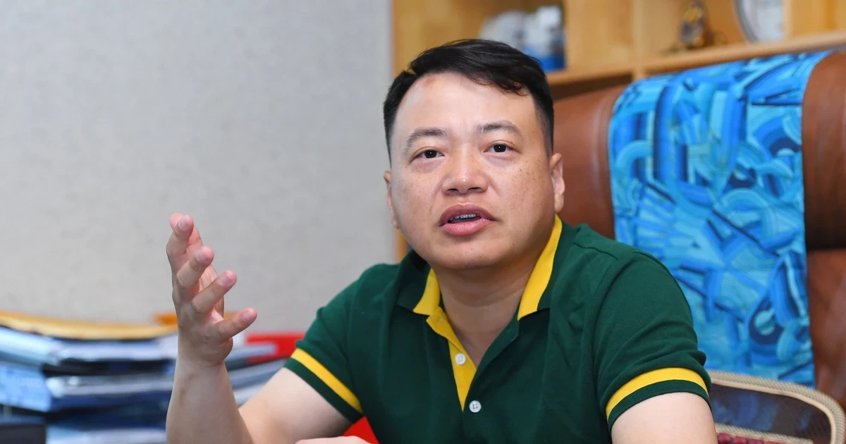 Những 'cá mập' Shark Tank Việt Nam lừa đảo, trốn thuế Những 'cá mập' Shark Tank Việt Nam lừa đảo, trốn thuế