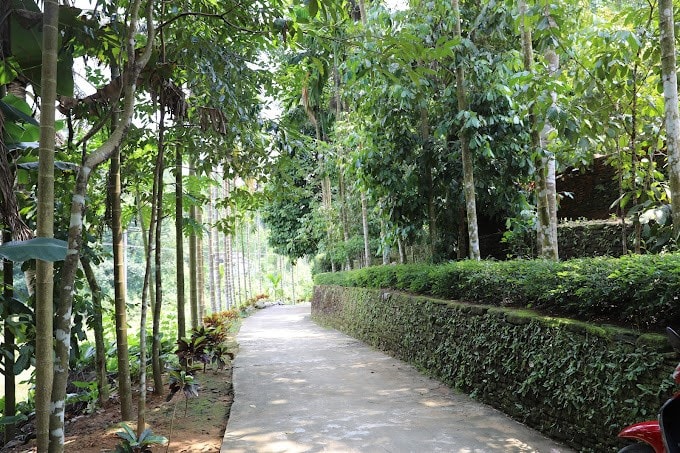 Ngôi làng cổ tồn tại hơn 500 năm được ví là 'xứ tiên' của miền trung du Đà Nẵng, nằm trong top 4 ngôi làng đẹp nhất Việt Nam - ảnh 2