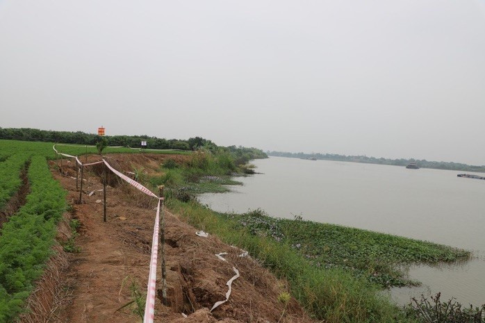 Khởi tố một Chuyên viên Ban Quản lý dự án và một Giám đốc tại Hưng Yên - ảnh 1