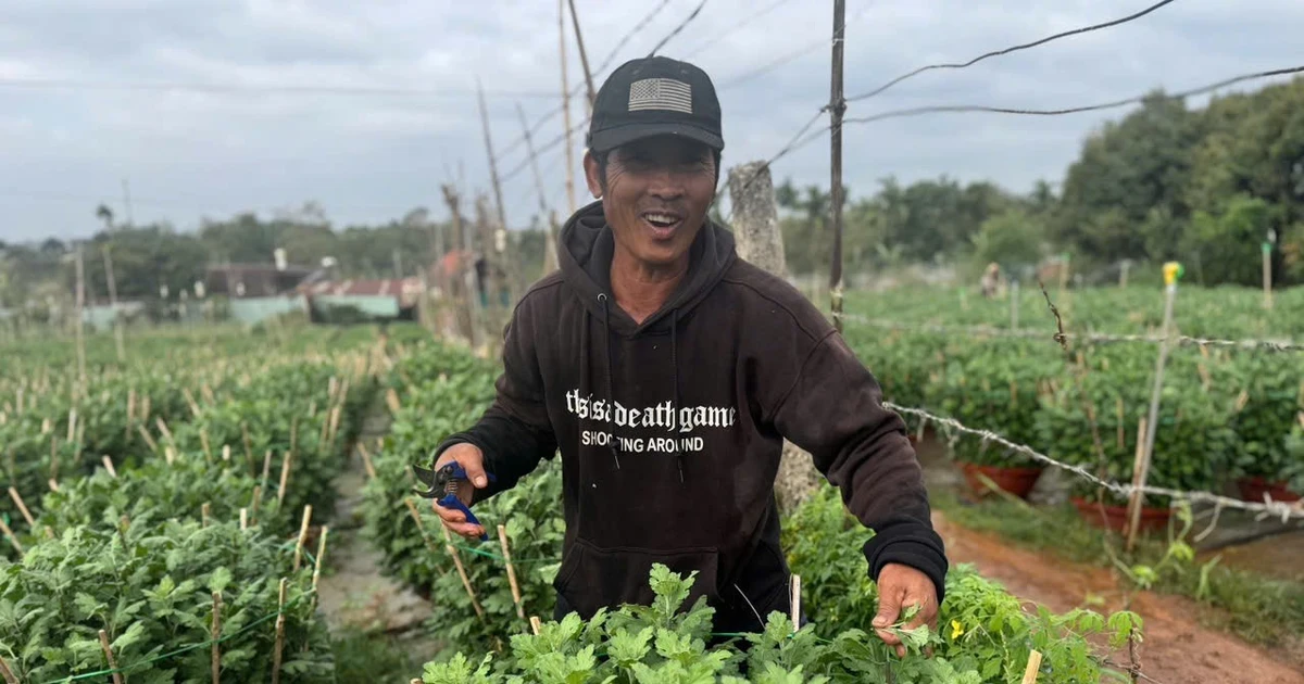 Nông dân Đắk Lắk vực dậy sau lũ, rốt ráo chuẩn bị vụ hoa Tết