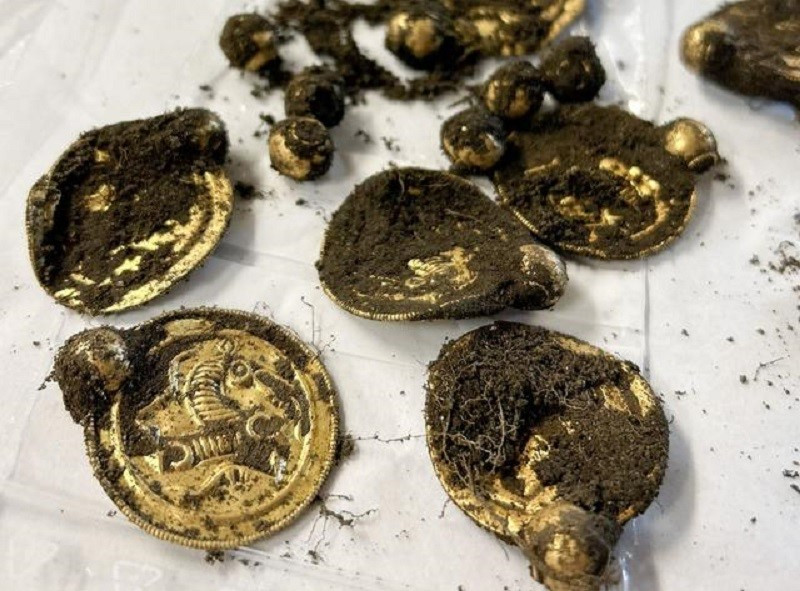 Tịch thu 9 mặt dây chuyền, 3 nhẫn cùng 10 hạt vàng nguyên chất do người đàn ông 51 tuổi tìm thấy trên một hòn đảo - ảnh 1