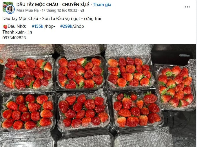 Ảnh chụp màn hình 2025-12-29 130000