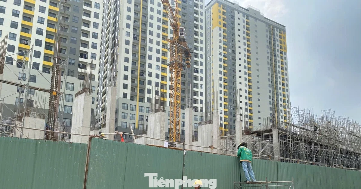 TPHCM quy định diện tích căn hộ chung cư