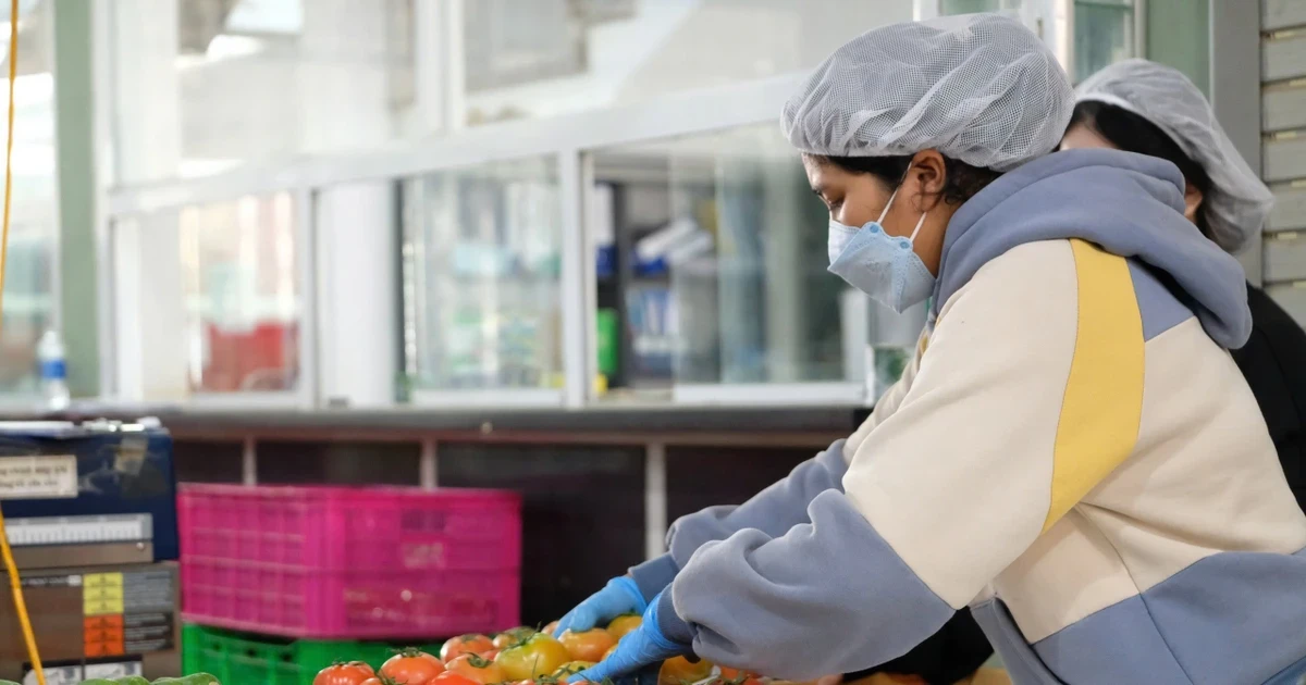 Giá rau củ quả cao ngất ngưởng