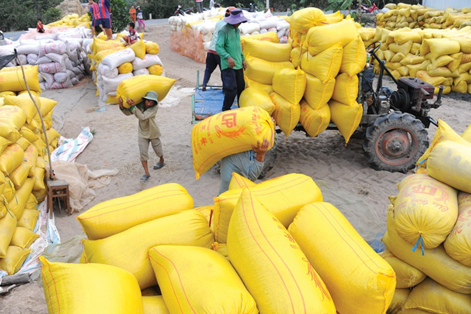 Xuất khẩu gạo Thái Lan gặp bất lời vì đồng baht tăng mạnh nhất 4 năm: Việt Nam hưởng lợi? - ảnh 3