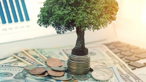 MCH, VCI, KDC, DSE sắp chốt quyền trả cổ tức bằng tiền, cao nhất 25%