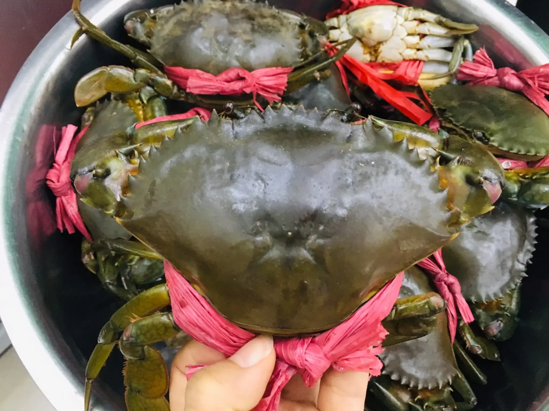 Cua Cà Mau 'leo đỉnh' 850.000 đồng/kg trước Tết: Trung Quốc mua mạnh, hàng trong nước khan hiếm