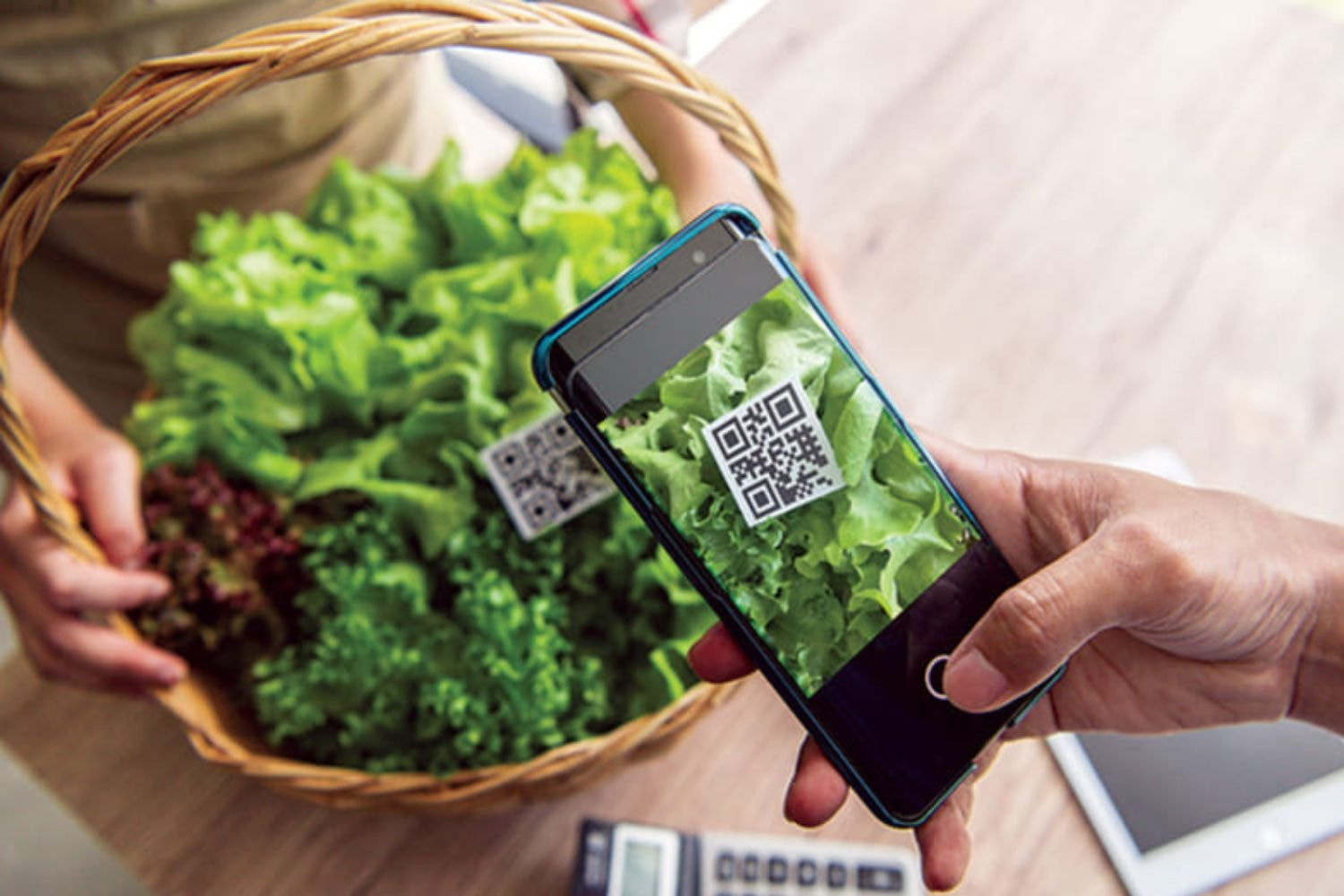 Quy định truy xuất nguồn gốc 2026: Nông dân đối mặt thách thức số hóa để xuất khẩu