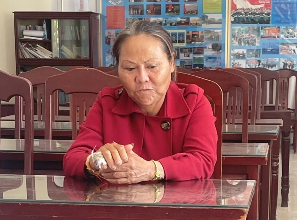 Bắt, di lý 'nữ doanh nhân' SN 1968 từ Lào về Việt Nam - ảnh 1