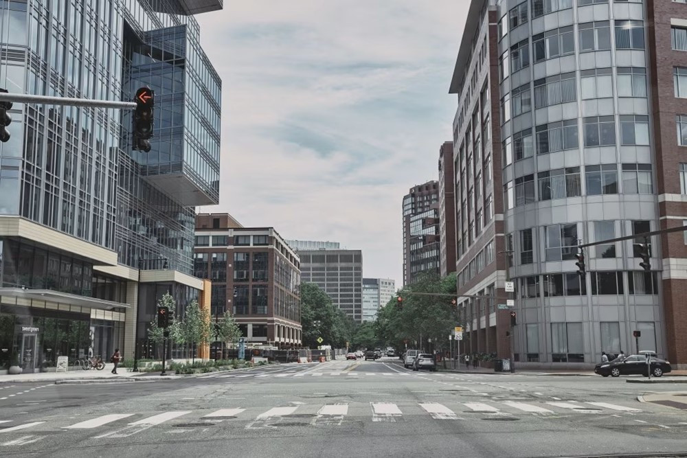 Tiến sĩ tại đại học Mỹ nộp 500 đơn xin việc vẫn thất nghiệp - ảnh 2