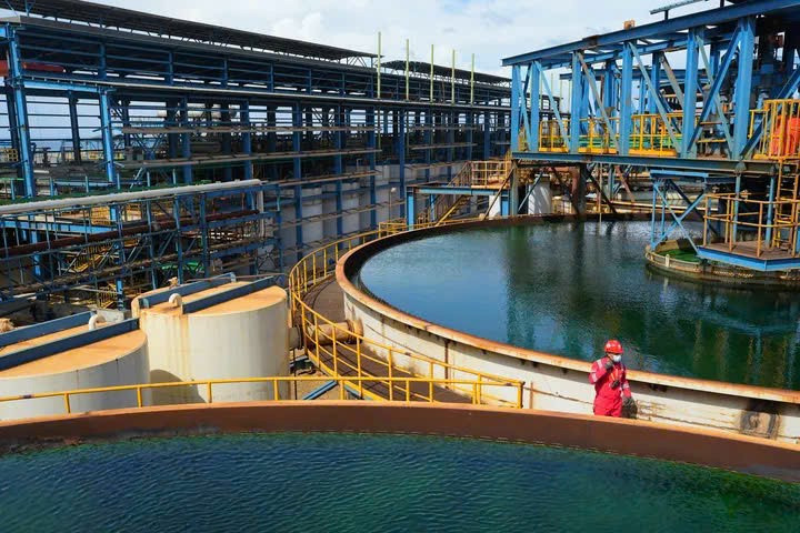 Tỷ phú kín tiếng ở Đông Nam Á sở hữu 71.000 ha mỏ, chi phối 70% nguồn cung kim loại then chốt của ngành xe điện - ảnh 4